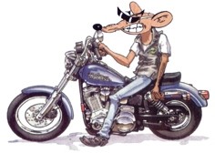 Ratas del Queiles